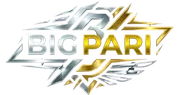 BIGPARI Logo